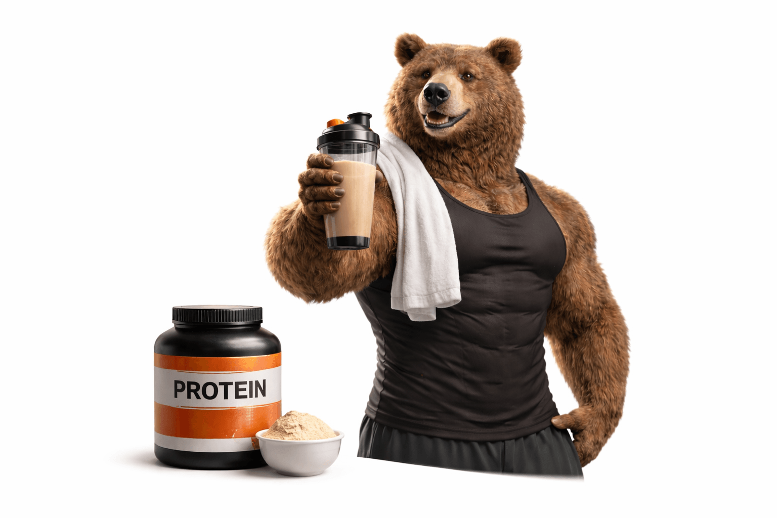 Proteinbär